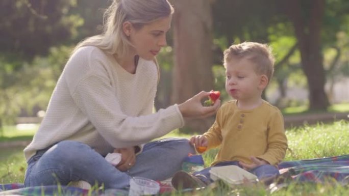 妈妈带着婴儿，母亲节在公园野餐，孩子在绿草场吃草莓水果。快乐的年轻父母与孩子的结合，在户外环境中与自