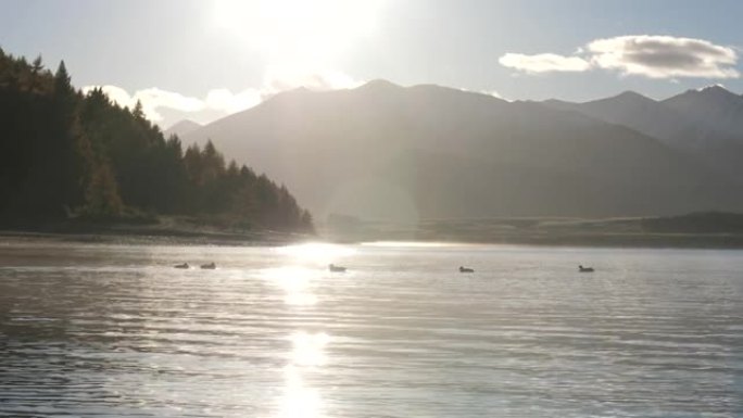 湖上的日落自然美景湖面水波纹