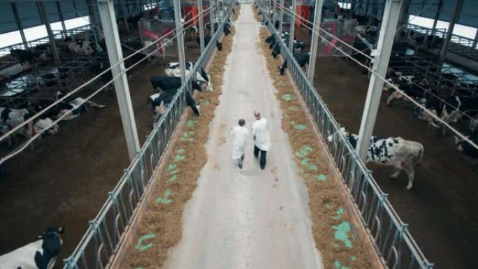 一个有两名专家走过的奶牛农场的俯视图