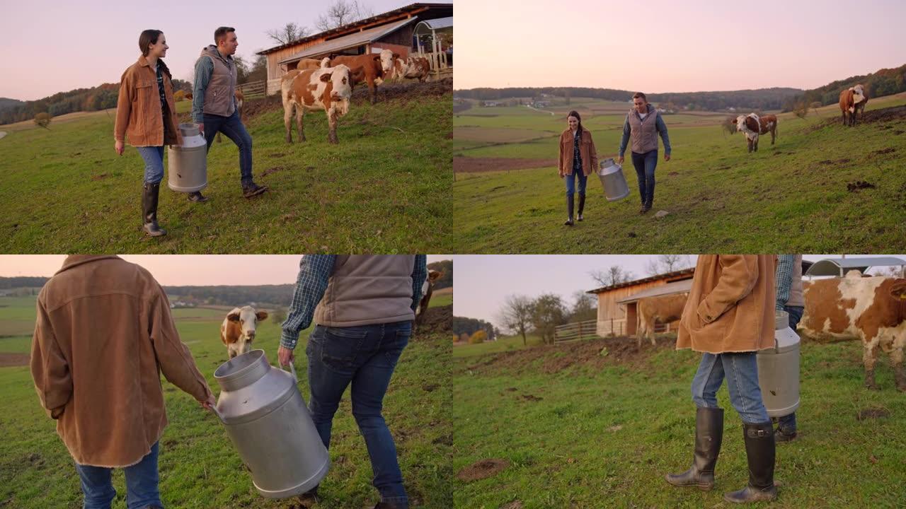 SLO MO夫妇背着一桶牛奶穿过牧场