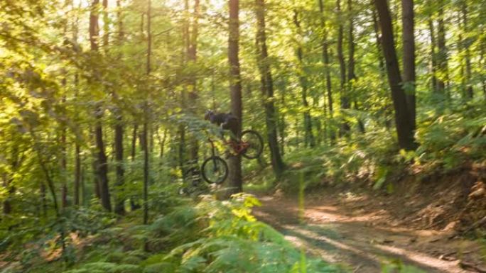 山地自行车手下坡，在泥泞的小径上跳跃，在雄伟茂密的绿色森林中做绝技