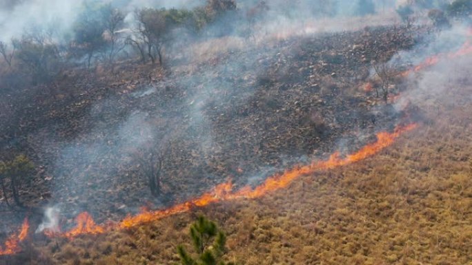 气候紧急情况。干旱和气候变化导致的南部非洲草地大火的空中缩小视图