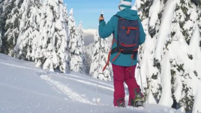 特写: 劈板旅行中无法辨认的女人踩着新鲜的粉末雪。