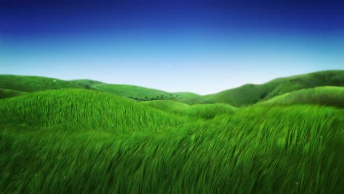 微风中绿草。有山丘的田园诗般的风景。可循环。