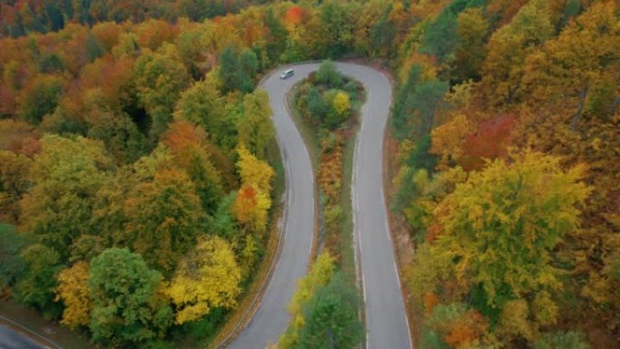 空中: 汽车在柏油路上行驶，周围环绕着美丽的秋天森林