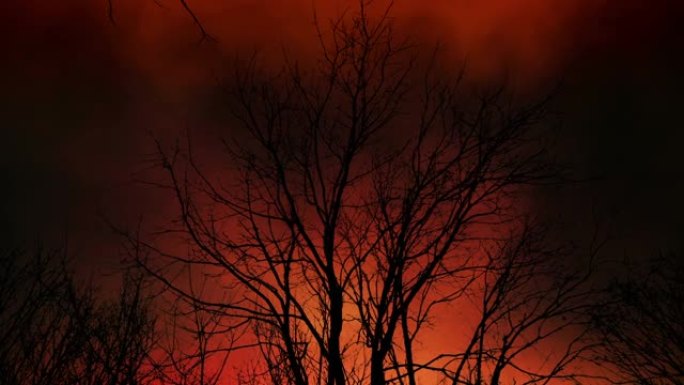 闪电与火的枯树，世界末日启示录