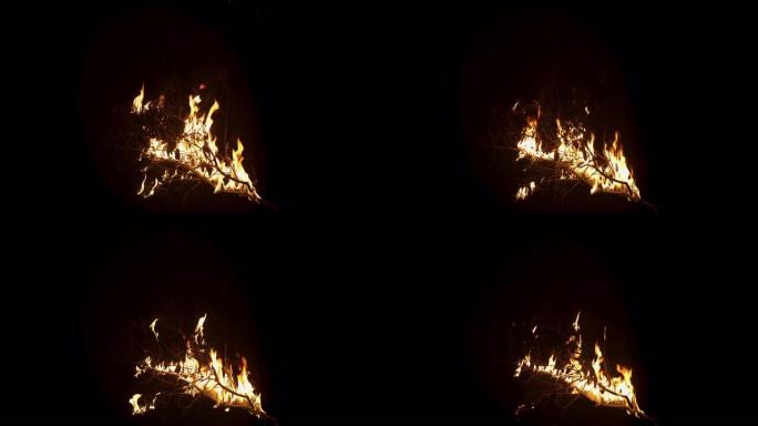 黑色背景上着火的木树枝的慢动作镜头。火焰慢慢消失。孤立的模型，用于特殊效果，VFX，后期制作或动画。