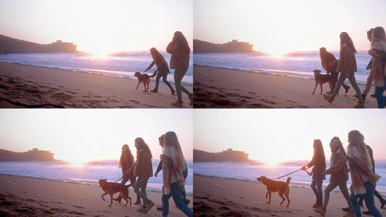 女孩和朋友在海滩遛狗