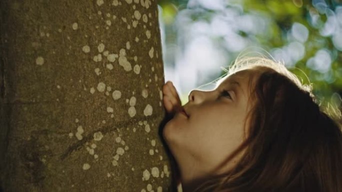 SLO MO金发小女孩拥抱森林中的一棵树
