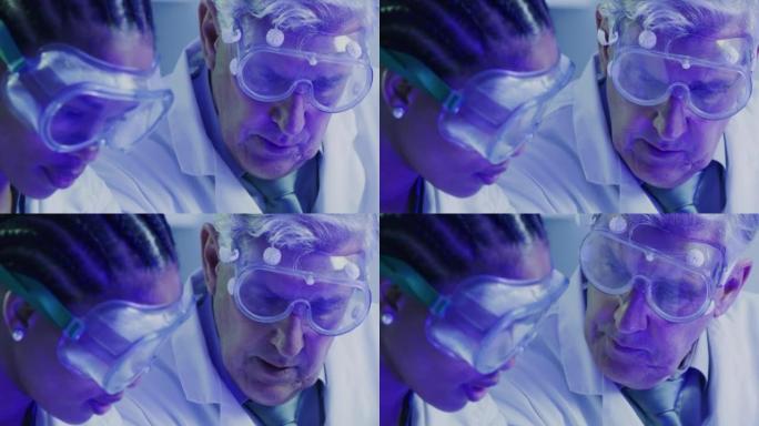 两名科学家在实验室用蓝色照明室内的安全护目镜进行实验。高级生物学主管和年轻学生助理在研究机构讨论和从