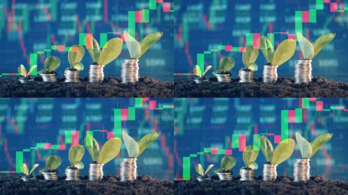 多层显示器上的动态股票汇率，硬币和植物