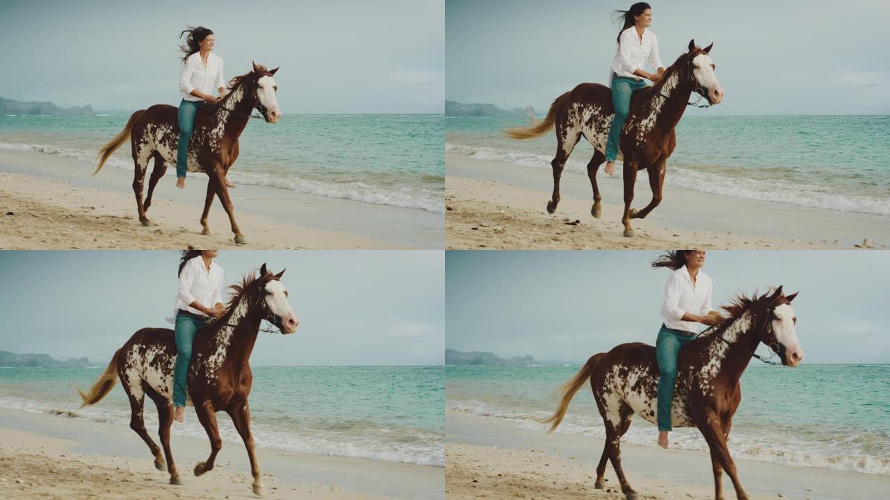 海滩上美丽的骑马