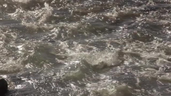 阿根廷巴塔哥尼亚多石的安第斯河中流动的水的细节。