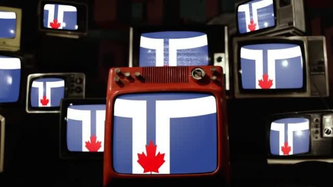 多伦多旗帜和复古电视。