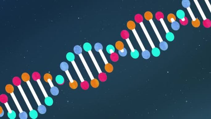 遗传DNA结构慢动作