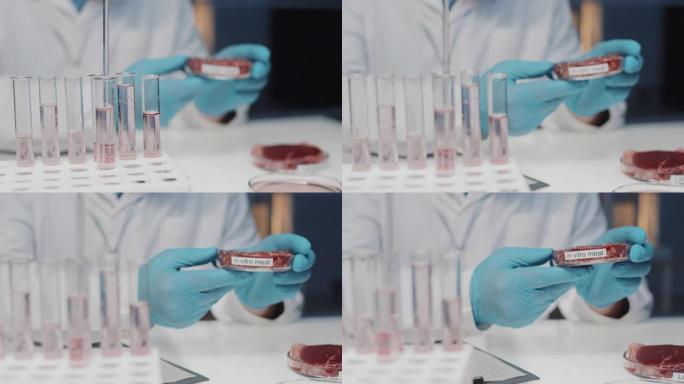 将体外肉放在戴手套的科学家或临床医生持有的培养皿中