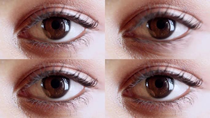 眼睛，视力和眼睛的棕色，用于验光，医生和医疗保健测试。健康的眼球，看和验光师检查一名妇女检查虹膜健康