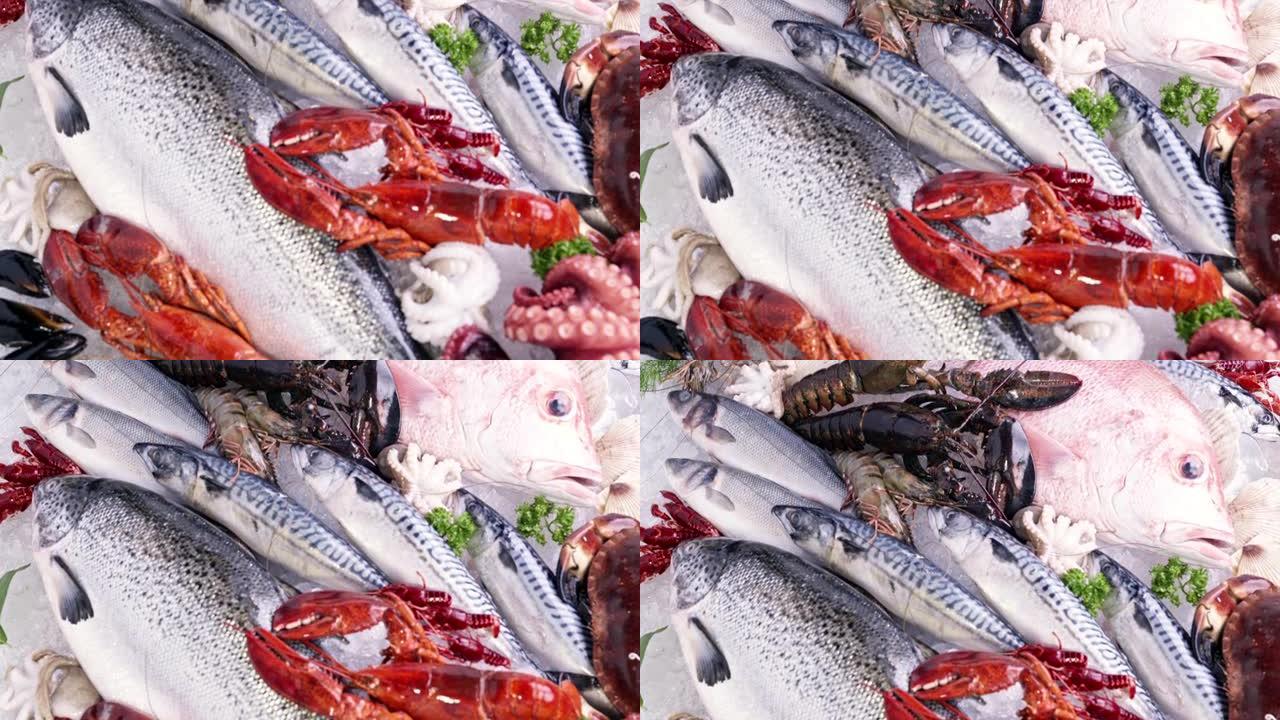 4K UHD向上倾斜: 各种豪华新鲜海鲜，龙虾鲑鱼鲭鱼小龙虾对虾章鱼贻贝和扇贝，在冰的背景下冷冻冰冷