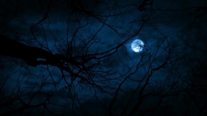 树木上方的闪电和月亮行走视点