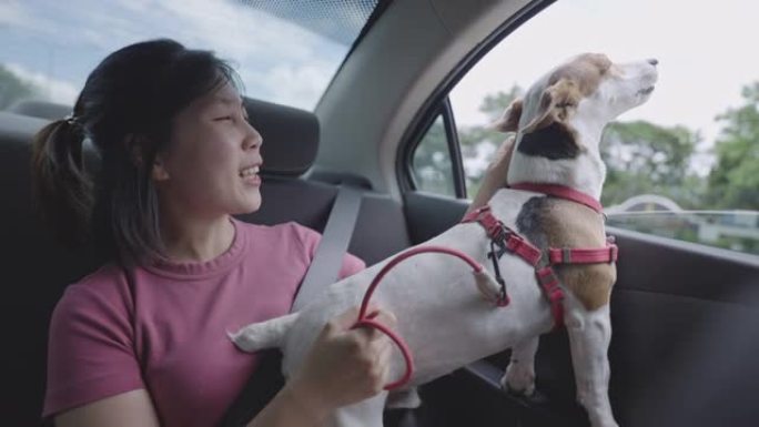 亚洲妇女在公路旅行中抚摸她的狗的两张照片