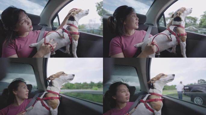 亚洲妇女在公路旅行中抚摸她的狗的两张照片