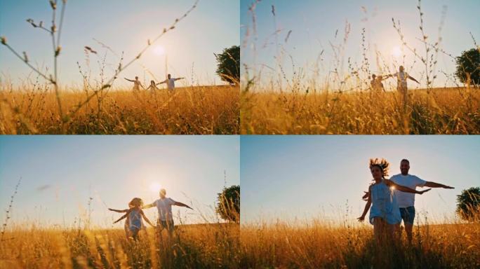 有两个孩子的SLO MO家庭在黄金时段在高高的羊茅草地上玩耍很有趣