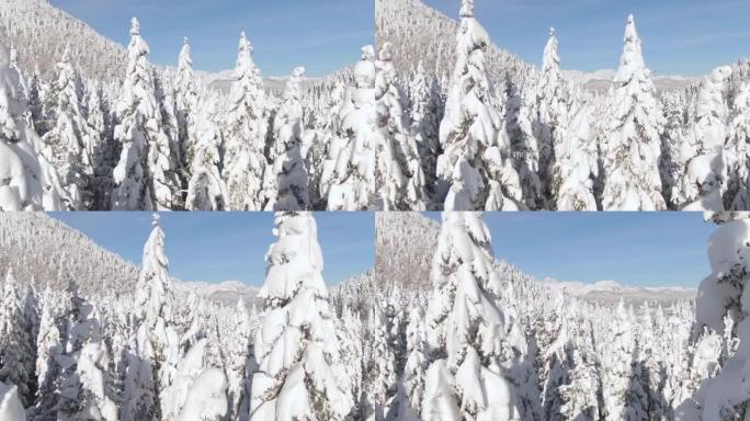 空中: 阳光明媚的斯洛文尼亚山区风景如画的白雪皑皑的乡村景观。