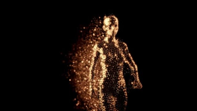 3D渲染女性人体的金色多边形全息图，在相机的黑色背景上行走。留下一丝金色粒子
