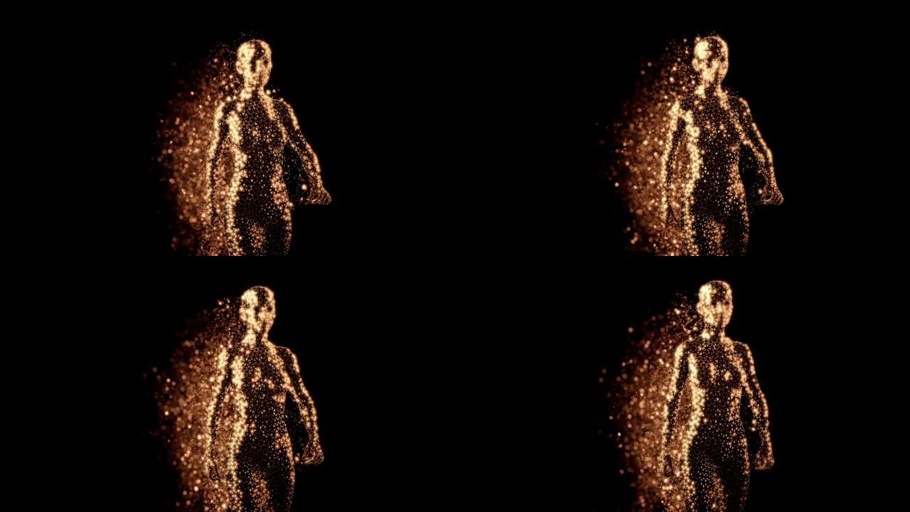 3D渲染女性人体的金色多边形全息图，在相机的黑色背景上行走。留下一丝金色粒子