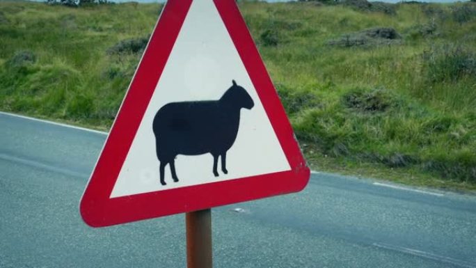 汽车在农村通过公路通过绵羊标志