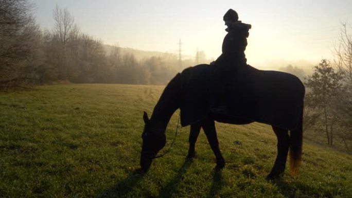 剪影: 女骑马者等待种马吃些草