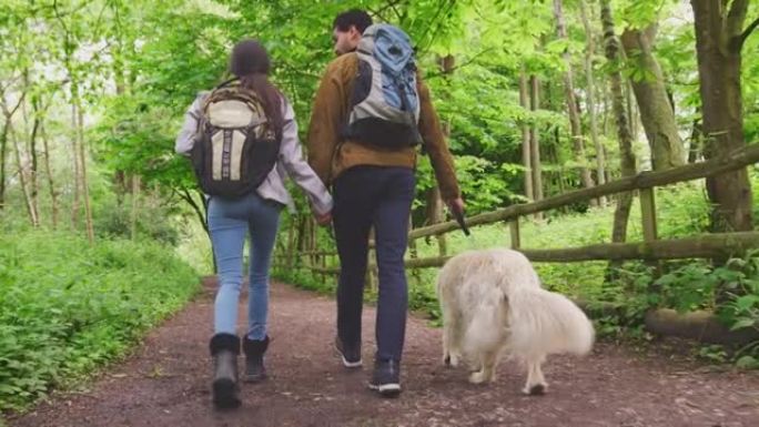 情侣与宠物狗牵手，沿着小路徒步穿越乡村树木的后视图