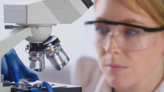 女实验室工作人员将载玻片放在显微镜下分析