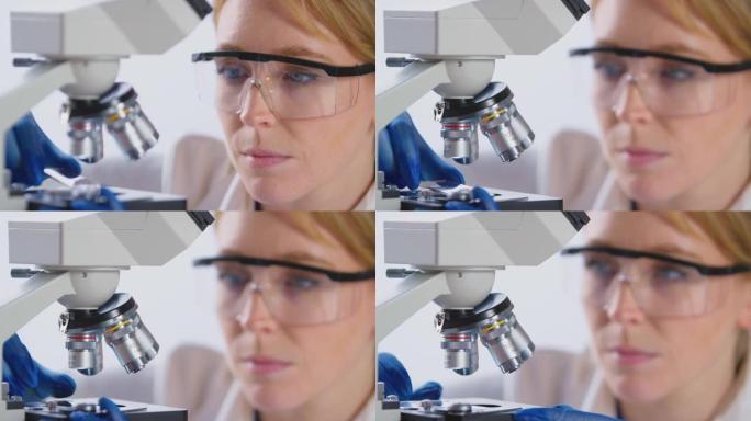 女实验室工作人员将载玻片放在显微镜下分析