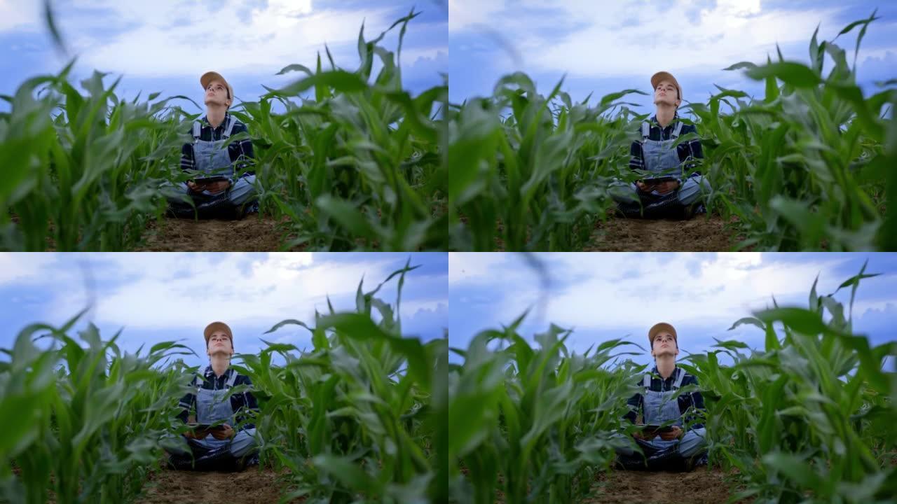 留着棕色长发的农夫妇女坐在她的农业玉米田里，仰望天空检查天气状况，拿着一个数字平板电脑