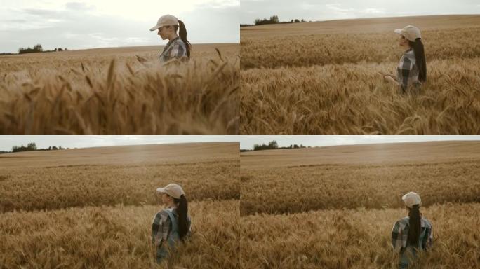 SLO MO年轻的女农民站在成熟的麦田中间