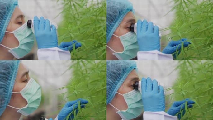 女性植物学家通过微型便携式显微镜观察外部开花结构或晶体三色
