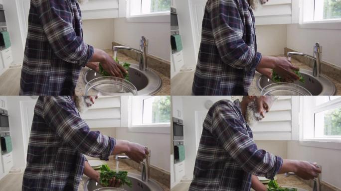 高级男子在家洗脸池清洗蔬菜