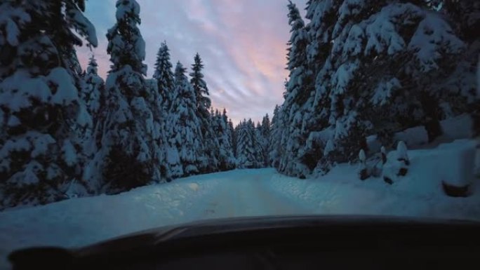 在森林中央的雪道上行驶