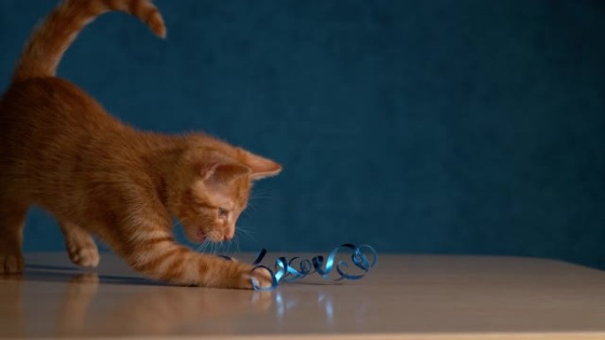 特写: 可爱的毛茸茸的姜黄色小猫玩着蓝色的圣诞装饰胶带。