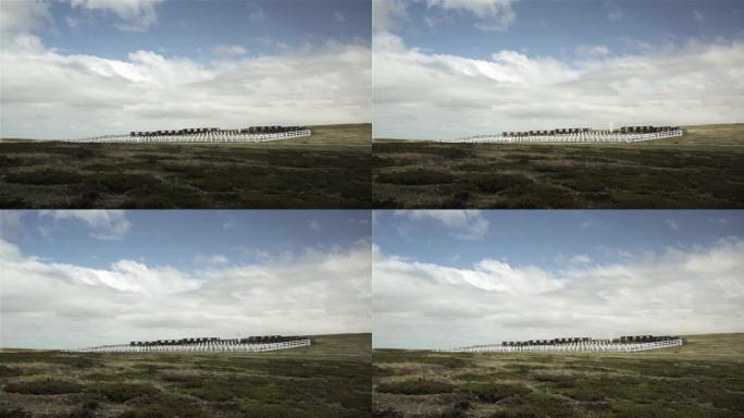 南大西洋，东福克兰，福克兰群岛(马尔维纳斯群岛)，达尔文的阿根廷军人公墓。4K分辨率。