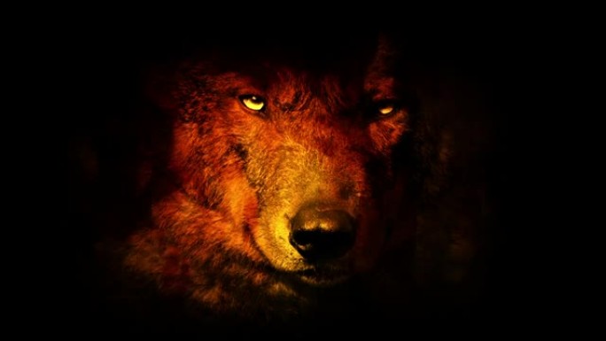 狼在发光的眼睛中咆哮