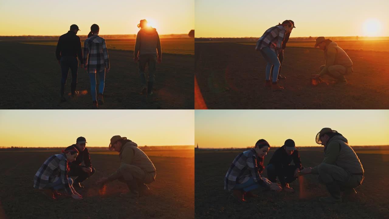 SLO MO三个农民走过田野，在日落时检查土壤
