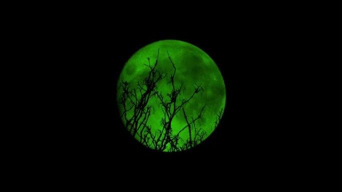 鸟儿在幽灵般的绿色月亮前飞离树