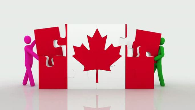 加拿大国旗的难题。白色背景。