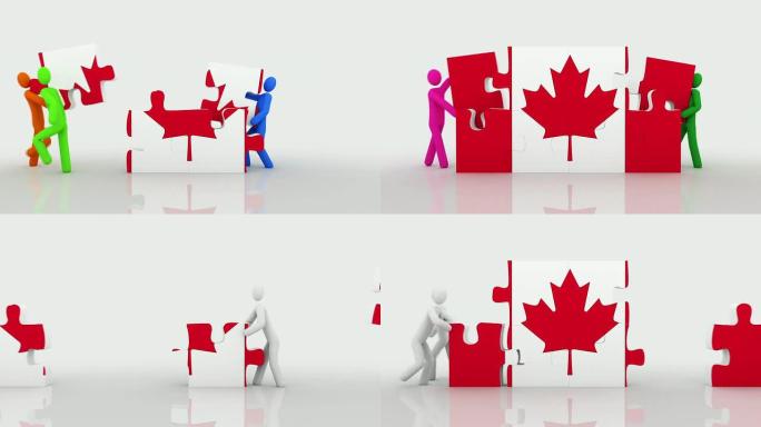 加拿大国旗的难题。白色背景。
