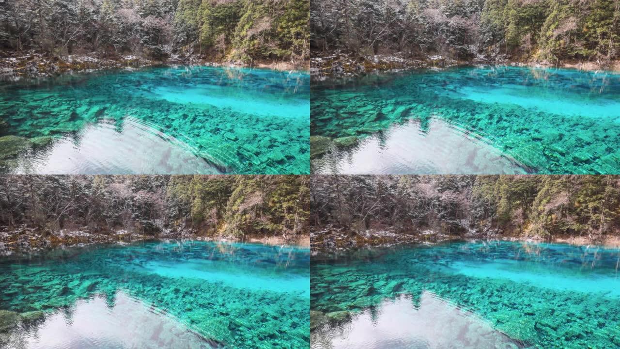 九寨沟山谷的湖泊呈现出令人难以置信的蓝色
