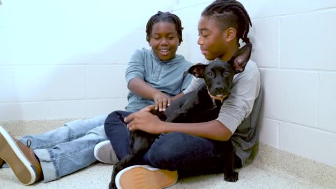 非裔美国男孩在宠物收容所遇见狗