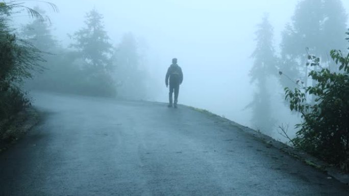 男子走在雾林路上