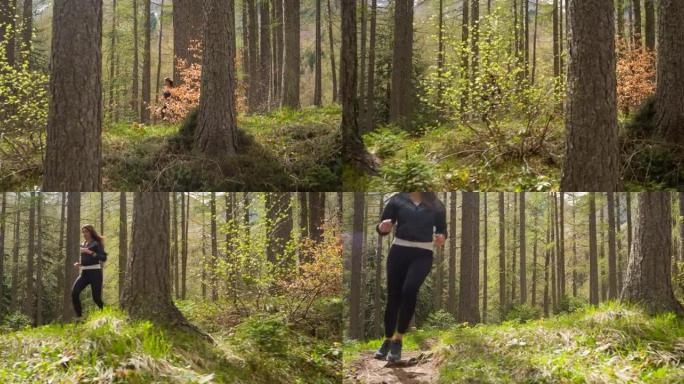 以健康为导向的女性在森林中户外慢跑